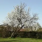 La Grenouillere Vendégház Portes