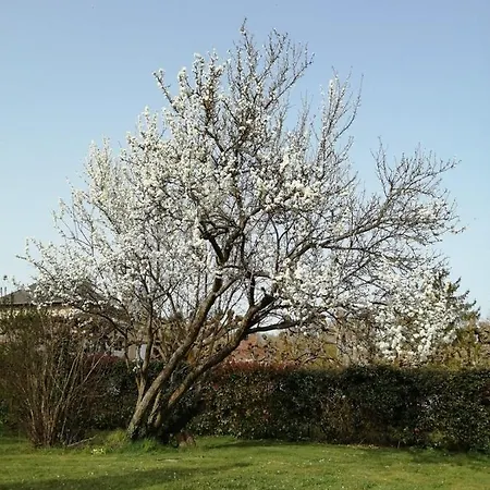 La Grenouillere Gasthof Portes (Eure)