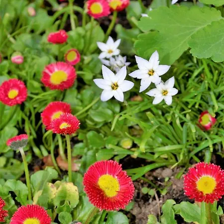 La Grenouillere 3* Portes (Eure)