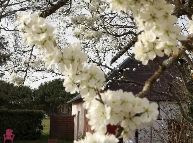 Guest house La Grenouillere Portes (Eure)