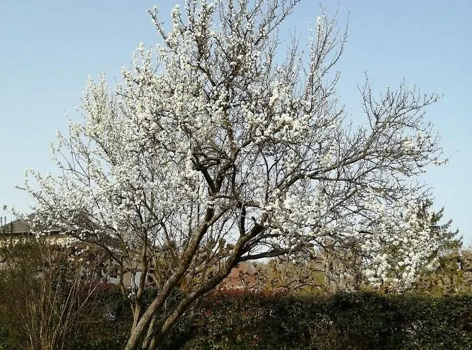 La Grenouillere Guest house Portes (Eure)