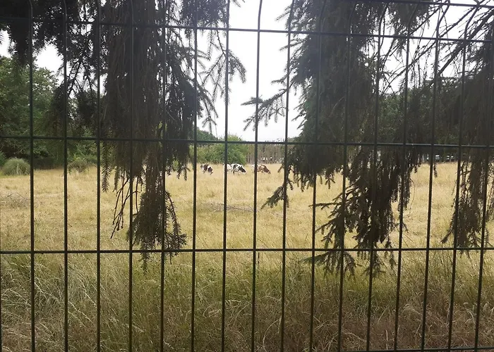 La Grenouillere Guest house