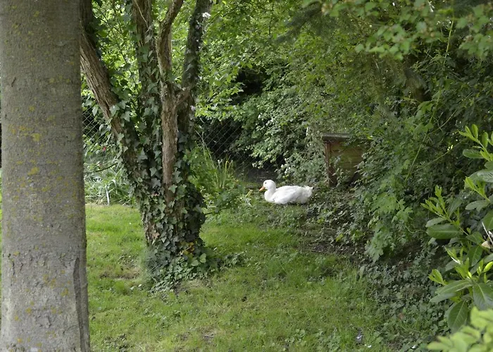 La Grenouillere Guest house Portes (Eure)