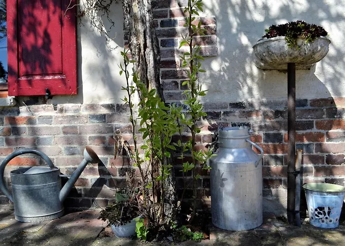 Guest house La Grenouillere 3*